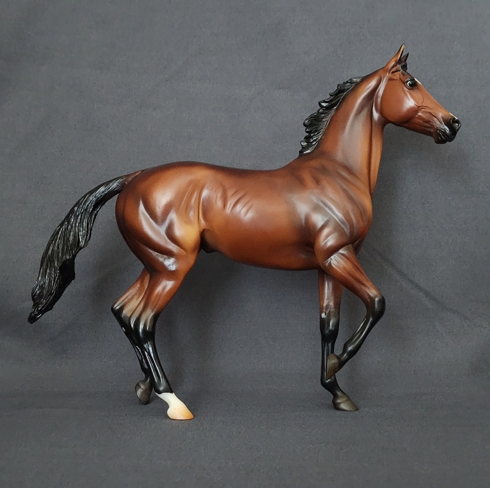 Breyer Tiz the Law